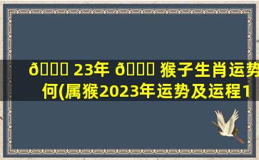 🐞 23年 🐕 猴子生肖运势如何(属猴2023年运势及运程1992年的猴)